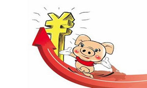 山东青岛肉猪头均超500元,仔猪价格飙升